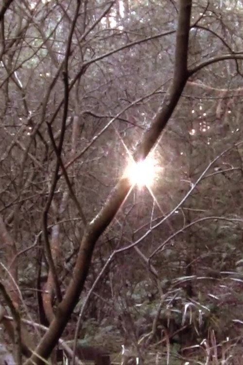 Frames, Shapes and Symbols