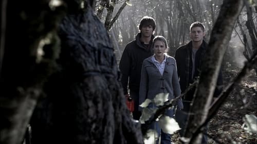 Supernatural: 1×11