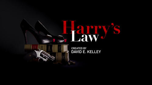 Poster della serie Harry's Law