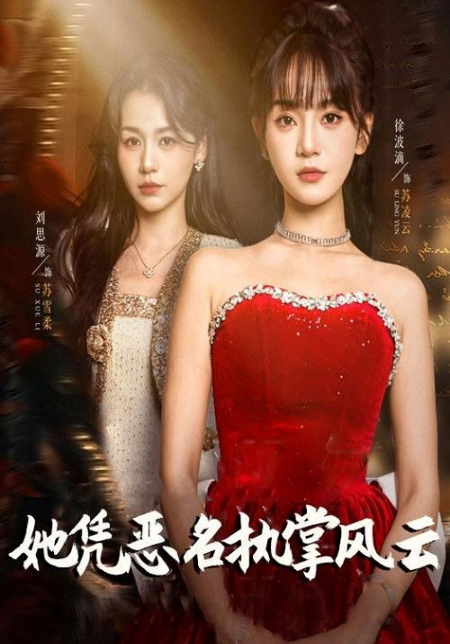 Affiche de 她凭恶名执掌风云