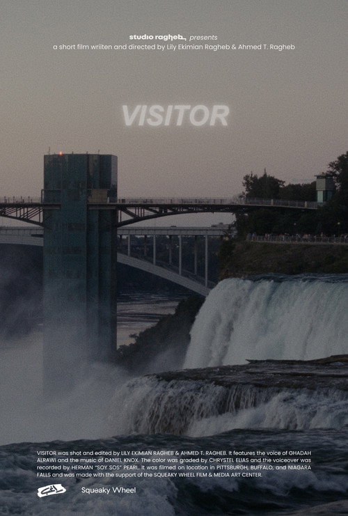 Visitor