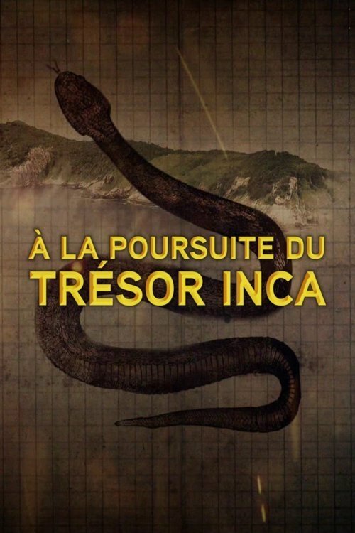 À la poursuite du trésor inca poster