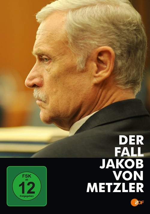 Poster Der Fall Jakob von Metzler 2012