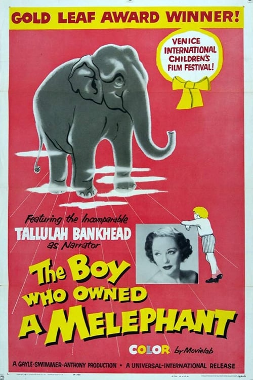 The Boy Who Owned a Melephant Movie Poster Image