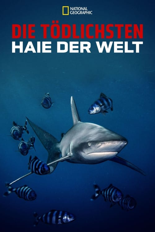 Poster von World's Most Dangerous Shark?