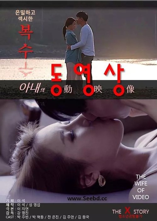아내의 동영상 movie poster player
