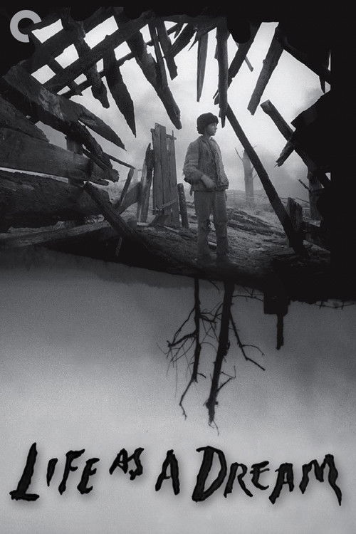 Cartell de Life as a Dream