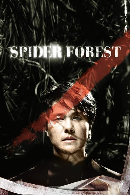 Spider forest 2004