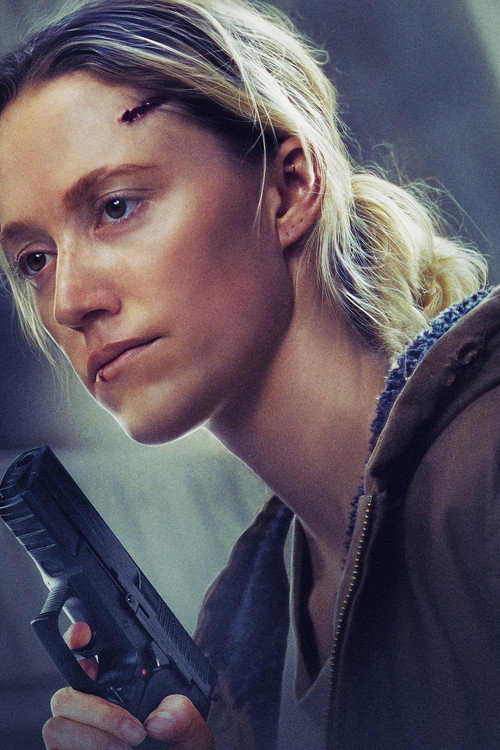 In Cold Light poster