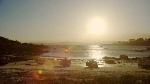 Testemuñas dunha illa