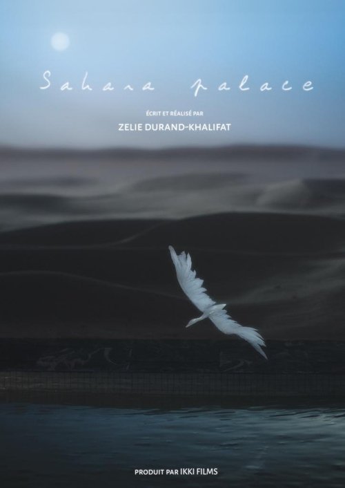 Sahara Palace movie poster player