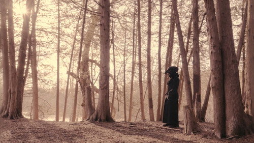 Cold Days From the Treetops — Fondos 2