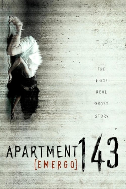 Apartment 143 2011