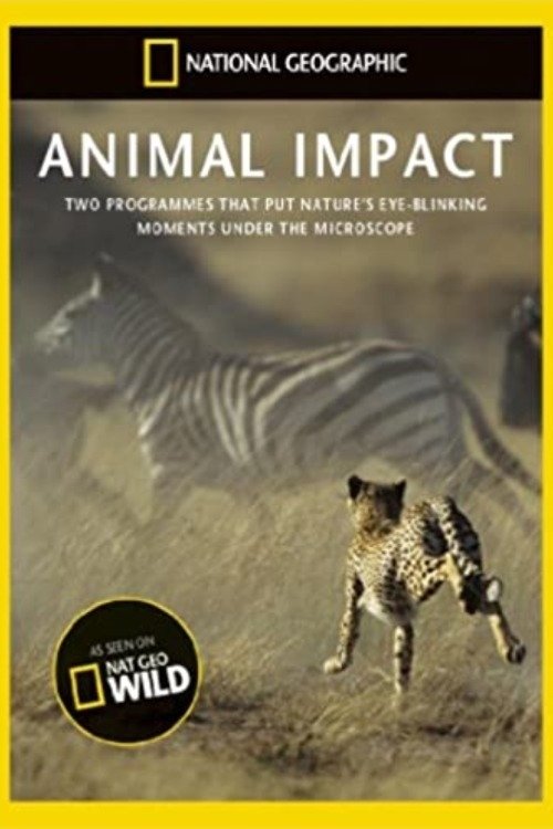Animal Impact