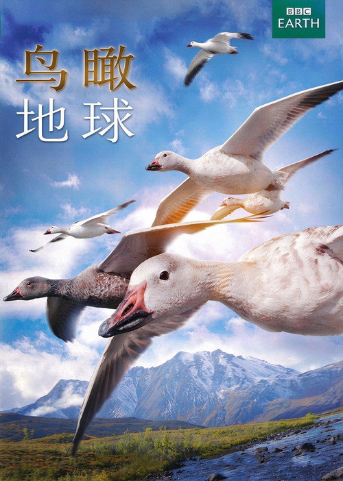 鸟瞰地球 海报