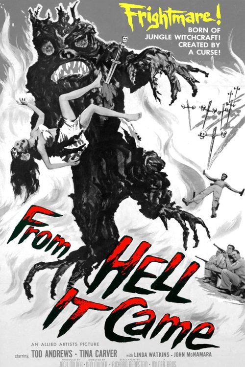 Poster 5