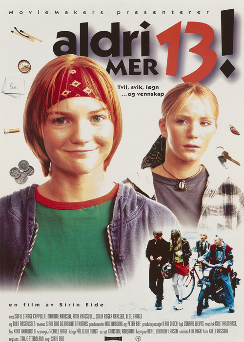 13 Never Again! poster