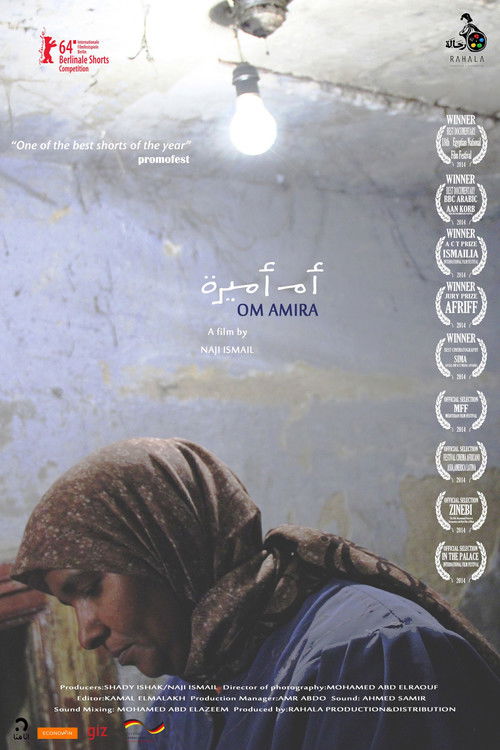 Amira's Mother poster