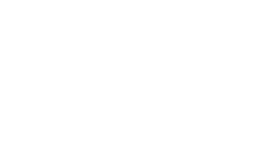Red Salute