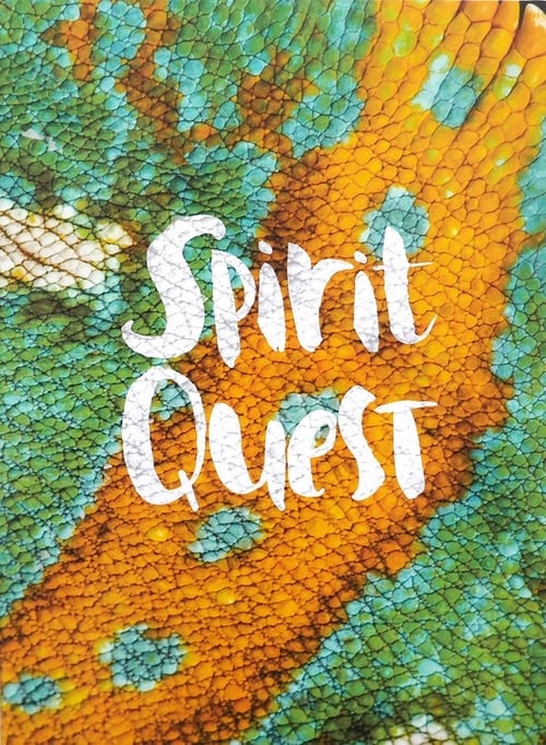 Poster Spirit Quest 2016