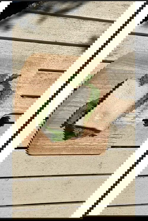 The Sandwich