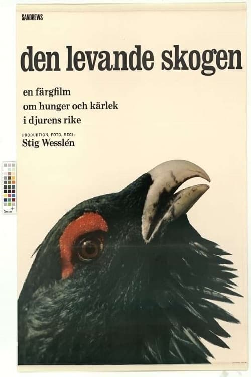 Poster Den levande skogen 1966