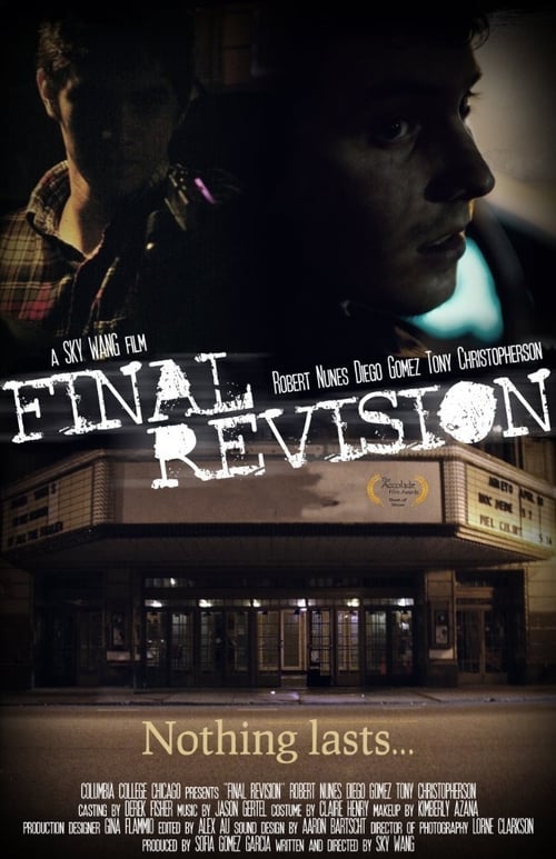 Final Revision (2010) poster