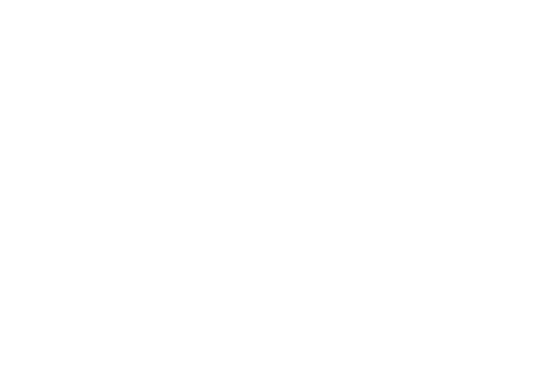 Steve Jobs