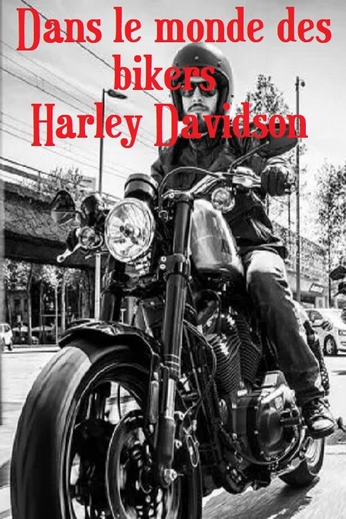 Dans le monde des bikers Harley Davidson Dans le monde des bikers Harley Davidson