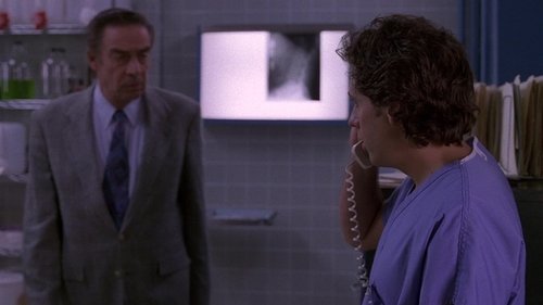 Poster della serie Law & Order