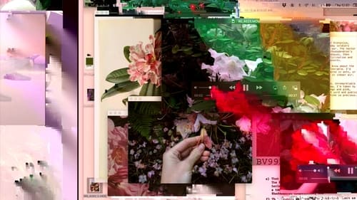 Immaculate Virtual Backdrop Blur