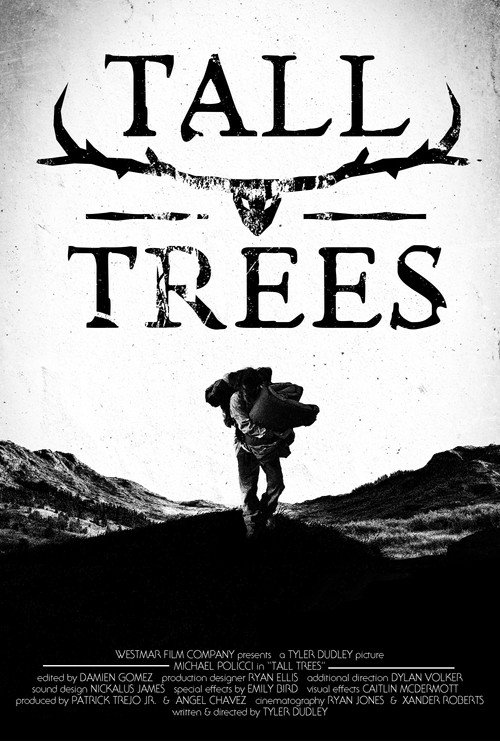 Tall Trees