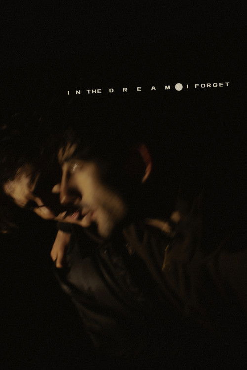 In the Dream I Forget
