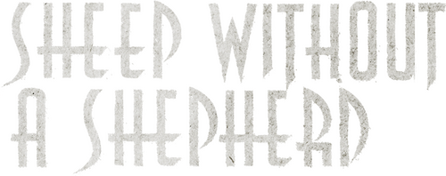 Sheep Without a Shepherd