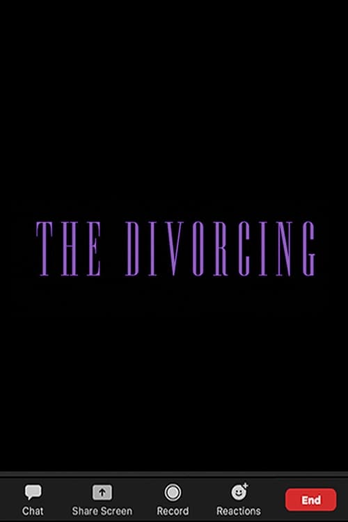 Poster do filme The Divorcing