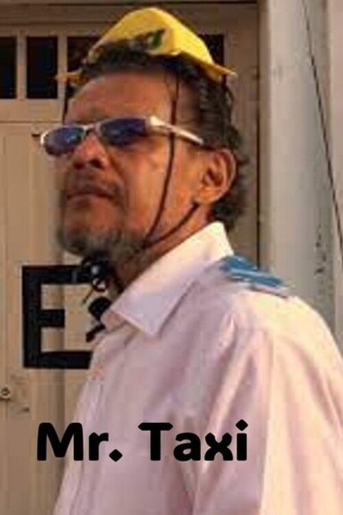 Mr. Taxi