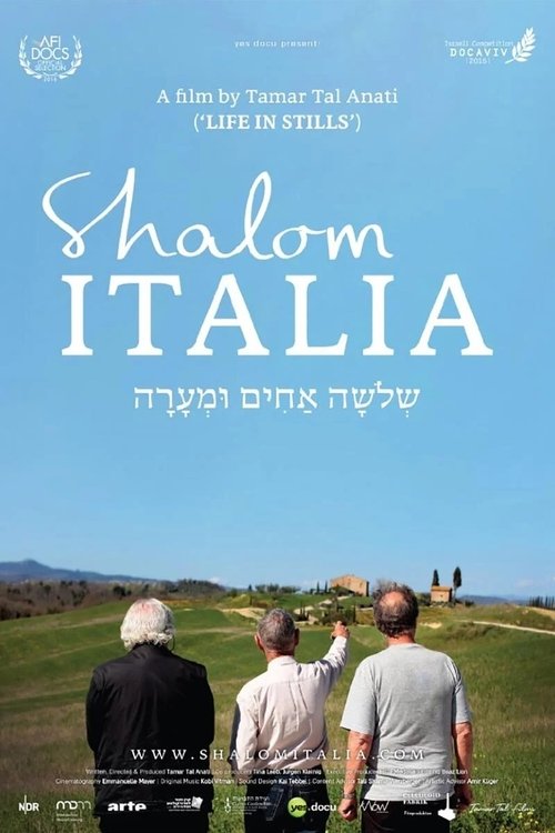 Where to stream Shalom Italia