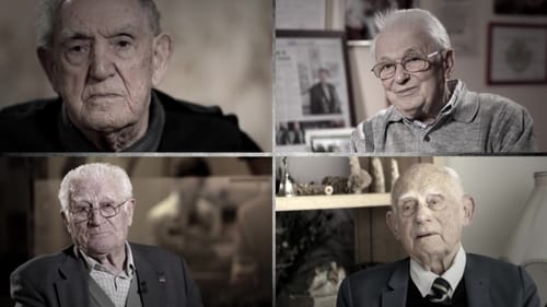 Des Français libres, les combats pour la libération image 1