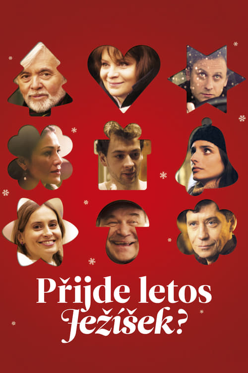 Přijde letos Ježíšek? (2013)