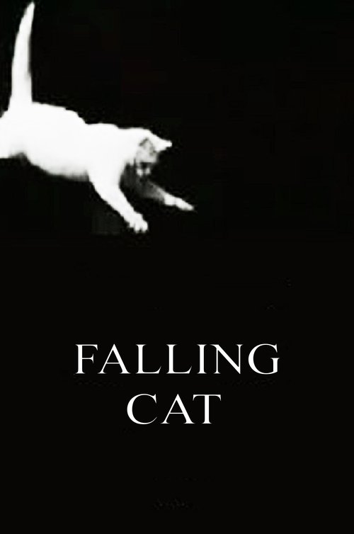 Falling Cat cover
