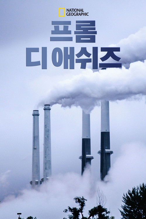 From the Ashes poster