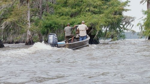 Poster della serie Swamp People