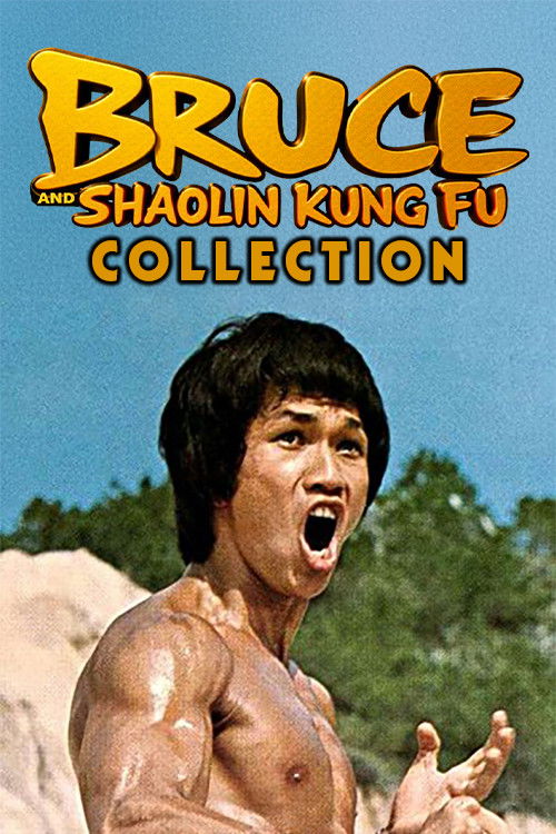 Pòster de Bruce and Shaolin Kung Fu Collection