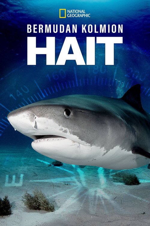 Bermudan kolmion hait