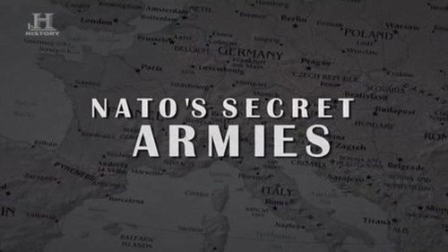 NATO's Secret Armies