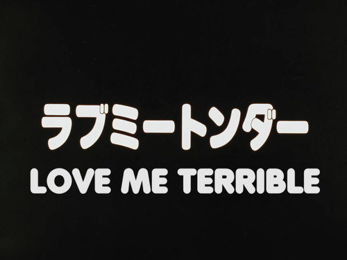 Love Me Terrible