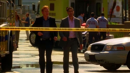 Poster della serie CSI: Miami