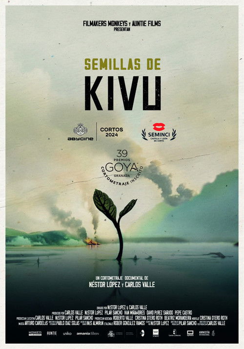 Seeds from Kivu poster