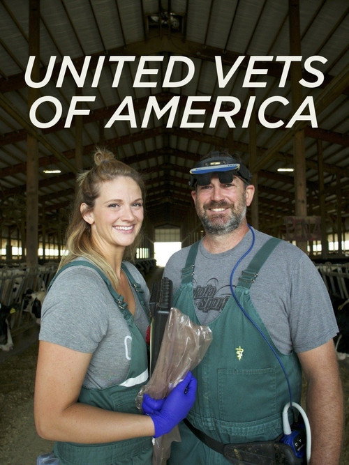 United Vets of America