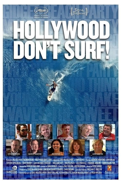 Hollywood Don't Surf! (2010) poster